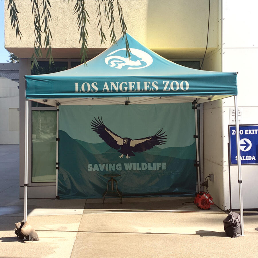 Mission Values Logos