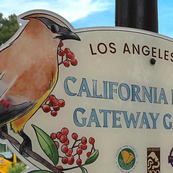 California Native Gateway Garden